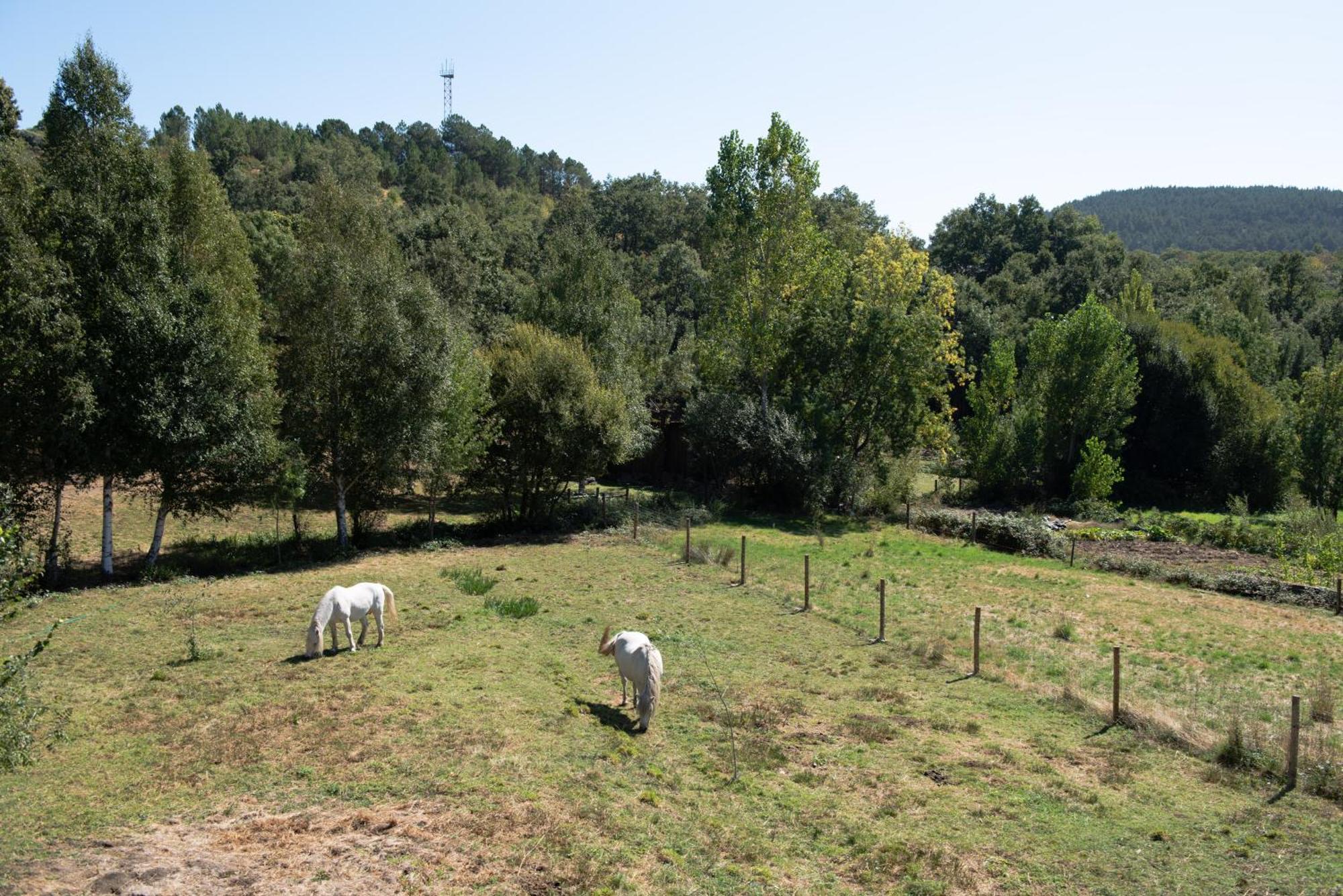 A Lagosta Perdida Montezinho Exterior photo
